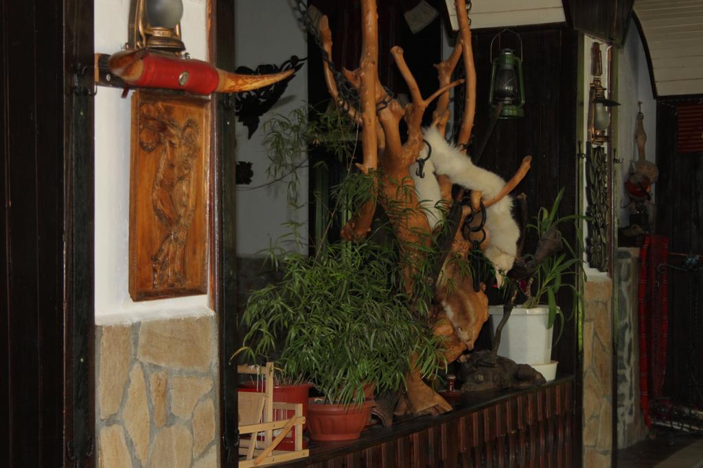 סנדנסקי Guest House Chinarite מראה חיצוני תמונה